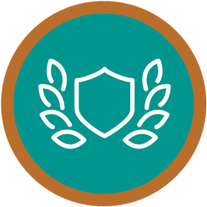 Picture of Senior Advantage (Bronze)